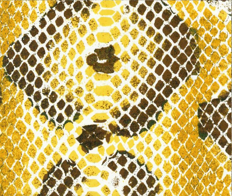 Snakeskin hydrographics film swatch / pattern